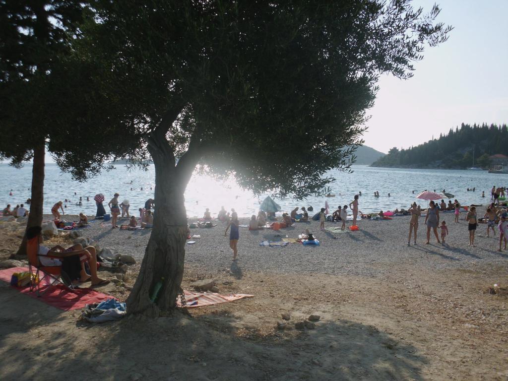 Apartments Petar Blace Εξωτερικό φωτογραφία